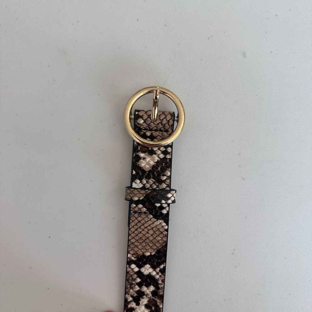 Snake Skin Belt